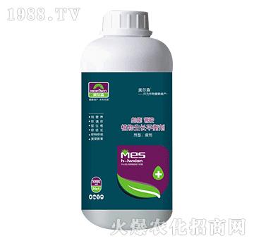 1000mlֲ�����L(zh��ng)ƽ