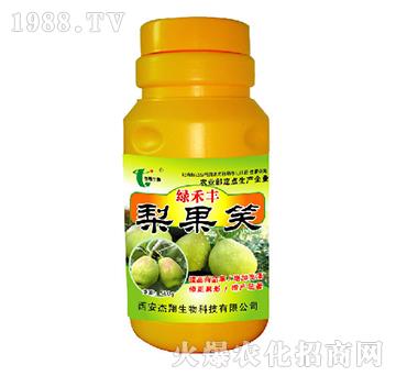 ���Ц-�G���S-��������