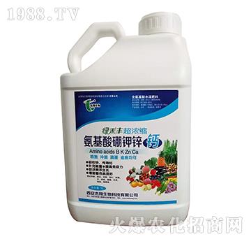 ����������\�}-�G���S-��������