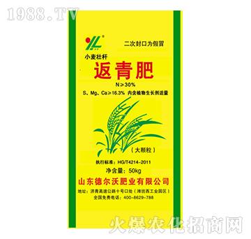 С���їU�����-���-� ���