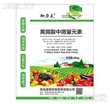 黃腐酸中微量元素-海法加力夫