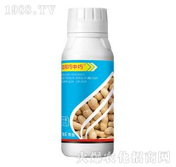 ���������ɸ�Ч��N��-