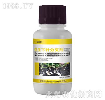 �������?l��)ֲ�?һ��S