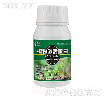 植物蛋白-貝多豐