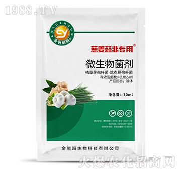 蔥姜蒜韭專用-微生物菌劑-金朝陽