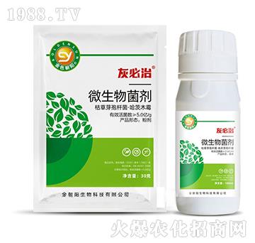 ΢�������-�ұ���-���