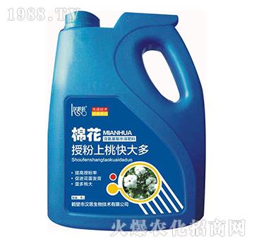 �޻��ڷ����ҿ���-�h˼����