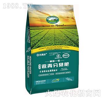 返青分蘗肥-朝歌一號-漢思生物