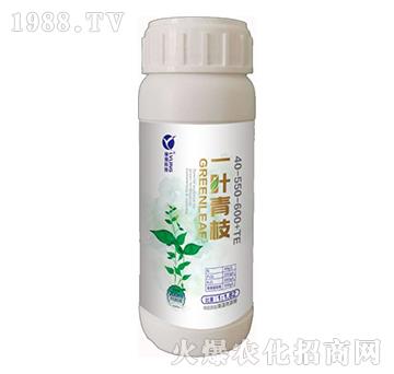 һ�~��֦-�A�˱���