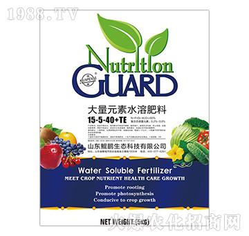 大量元素水溶肥料15-5-40+TE-鯤鵬生態(tài)