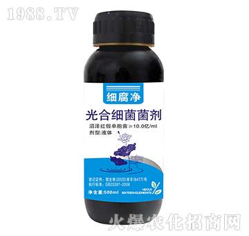 光合細(xì)菌菌劑-細(xì)腐凈-美尚