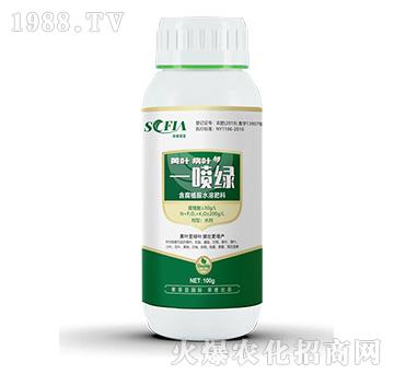 黃葉病葉一噴綠水溶肥-索菲亞