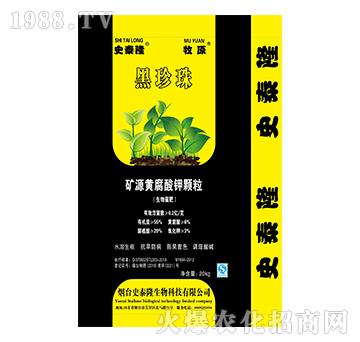 �VԴ�S������w��-������-ʷ̩¡