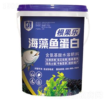 海藻魚(yú)蛋白-根果樂(lè)-邦領(lǐng)農(nóng)業(yè)