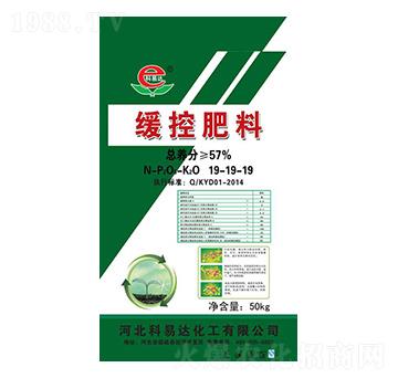 ���ط���19-19-19-�����_(d��)