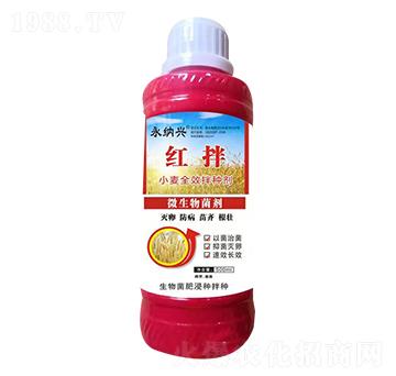 小麥拌種劑-紅拌-永納興