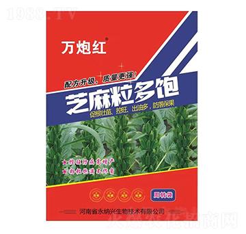 ֥�������-�f�ڼt-���{�d