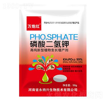 ��������-�f(w��n)�ڼt-���{�d