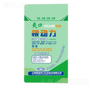 20kg含腐殖酸水溶肥-根動力-新稻香村