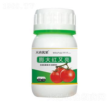 ���t�����t����-���r(n��ng)��(y��u)��-���r(n��ng)����