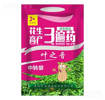 芝麻高產(chǎn)3遍藥-葉之音-五德順