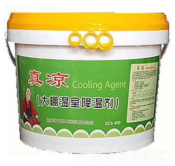 大棚溫室降溫劑-真涼-農(nóng)康農(nóng)業(yè)
