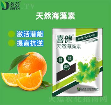 ���徫-ϲ��-����r(n��ng)�I(y��)