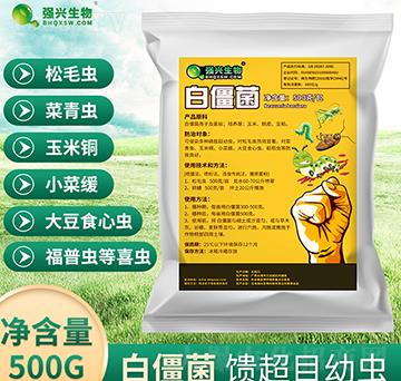 �׽���ԭ��-���d����