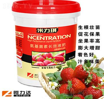 草莓專用氨基菌素長效液肥-米力琪-阿力達(dá)生物