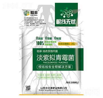 根線無憂-豐收源