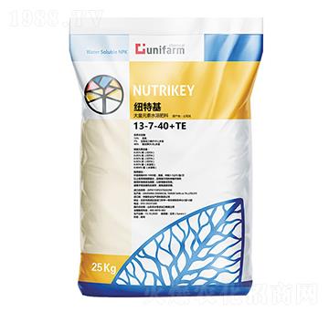 土耳其原裝進(jìn)口13-7-40+TE-海之星