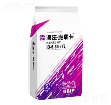 ���b����Ԫ��ˮ�ܷ���13-6-36+TE-������ħ��-���ɾ��S