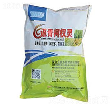 返青柯杈靈-綠露生物