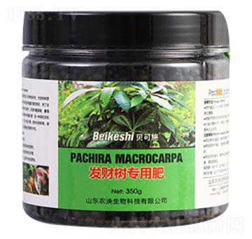 發(fā)財(cái)樹專用肥料-貝可施-農(nóng)泱生物