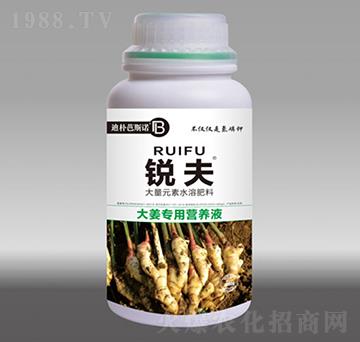 大姜專用營養(yǎng)液-銳夫-迪樸芭斯諾