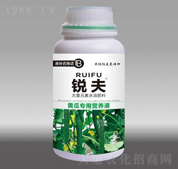 黃瓜專用營養(yǎng)液-銳夫-迪樸芭斯諾