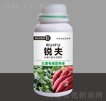 紅薯專用營養(yǎng)液-銳夫-迪樸芭斯諾