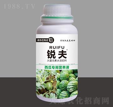 西瓜專用營養(yǎng)液-銳夫-迪樸芭斯諾