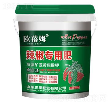 �������÷�-�W��ķ-���ǷʘI(y��)