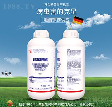 43%(li��n)������-��ռ�r(n��ng)�Y