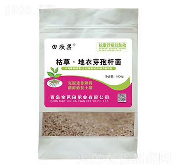 �ݲݡ�����ѿ�ߗU��-������-�����