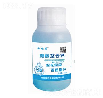 �Ǵ������}-������-�����