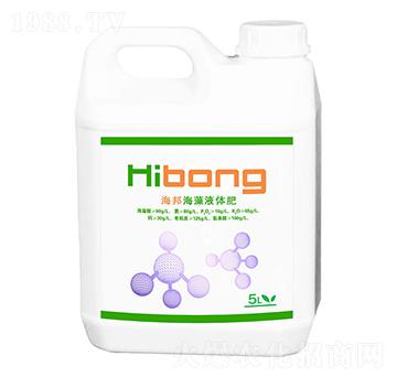 海藻液體肥-海邦肥料