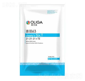 �������21-21-21+TE-ϲ��63-�W����