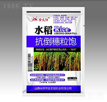 水稻抗倒穗粒飽-金禾生物