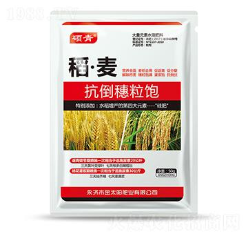 稻·麥抗倒穗粒飽-金禾生物