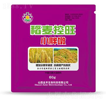 稻麥控旺小胖墩-金禾生物