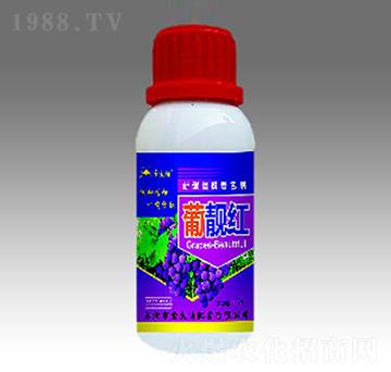 葡靚紅-金禾生物