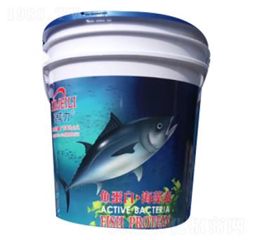 �~���ס�������-�G�����ʘI(y��)