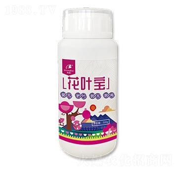 ���~��-����ʘI(y��)